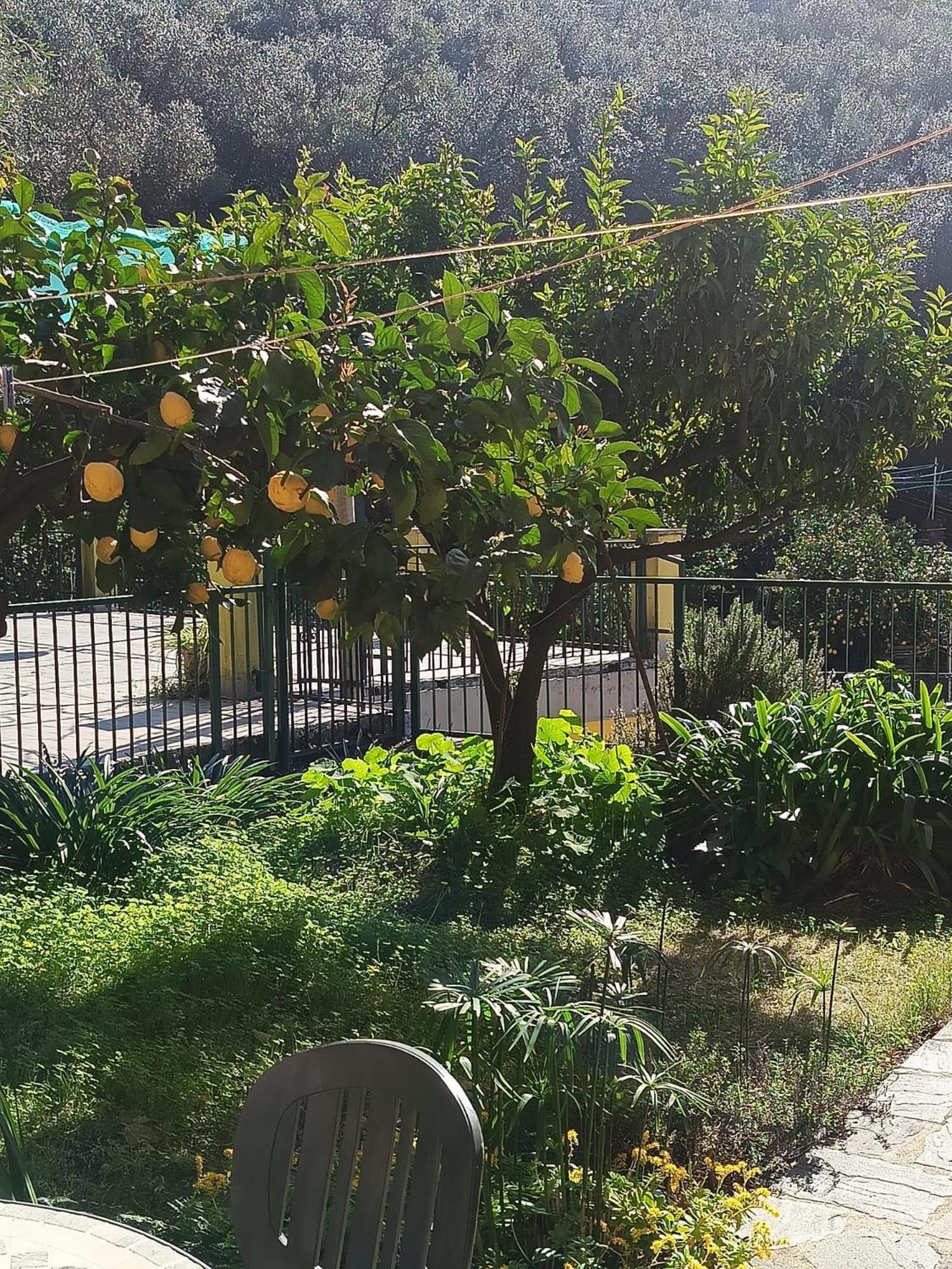 Chez Diego With Ac And Garden Monterosso al Mare Extérieur photo